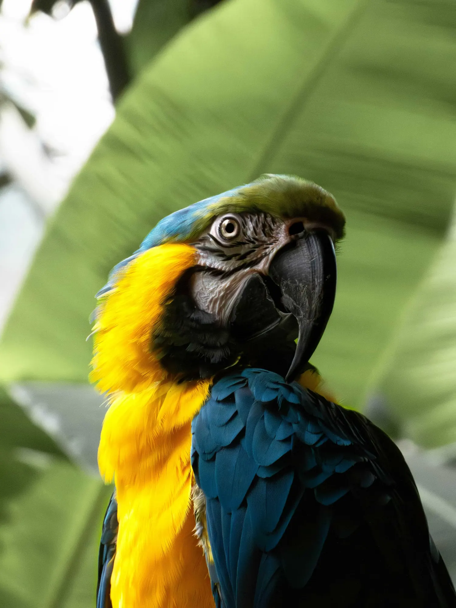 Costa Rica