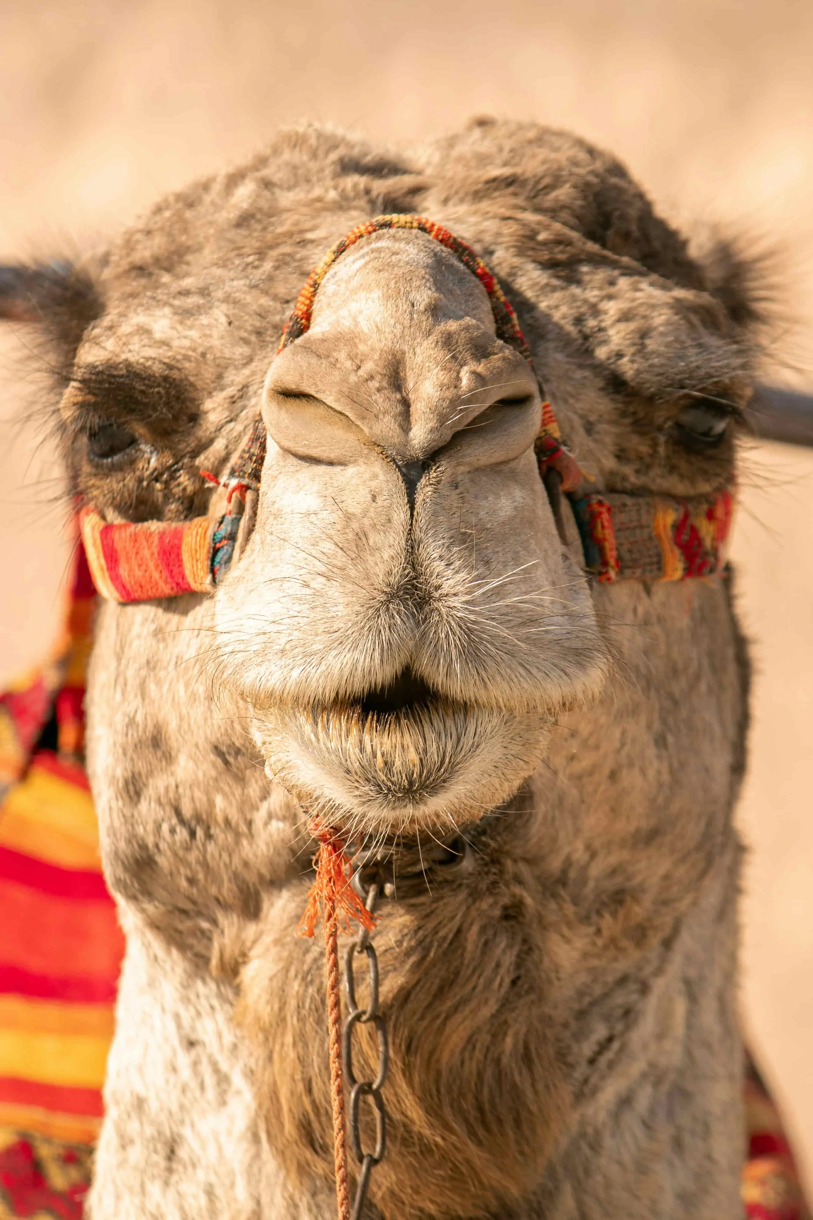 Marruecos