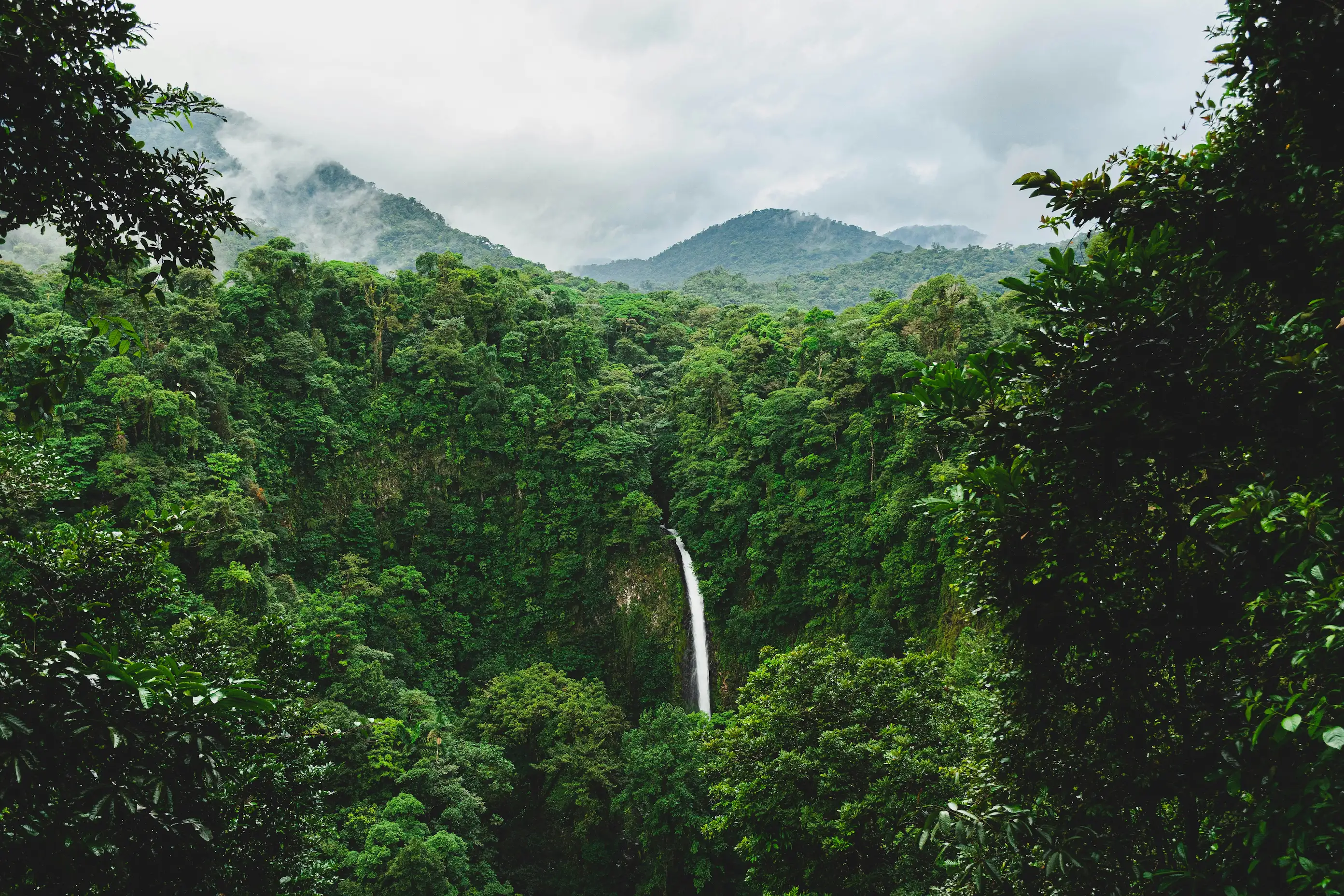 Selva y costa de Costa Rica