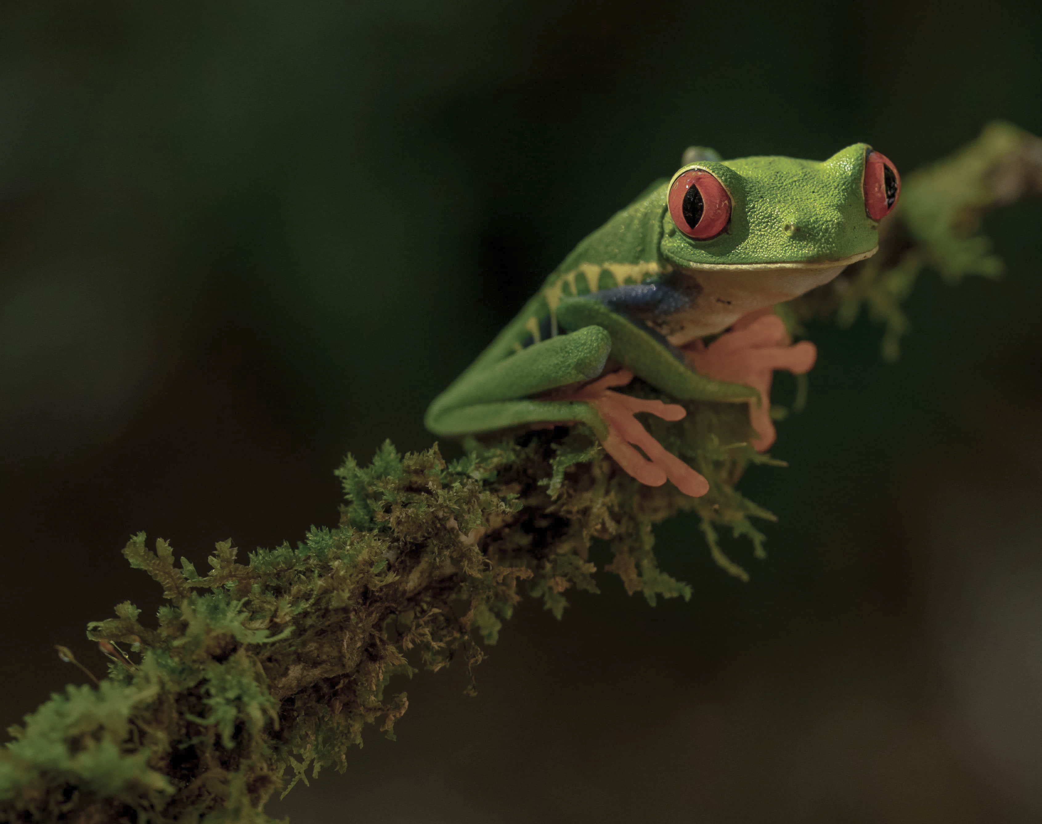 Costa Rica
