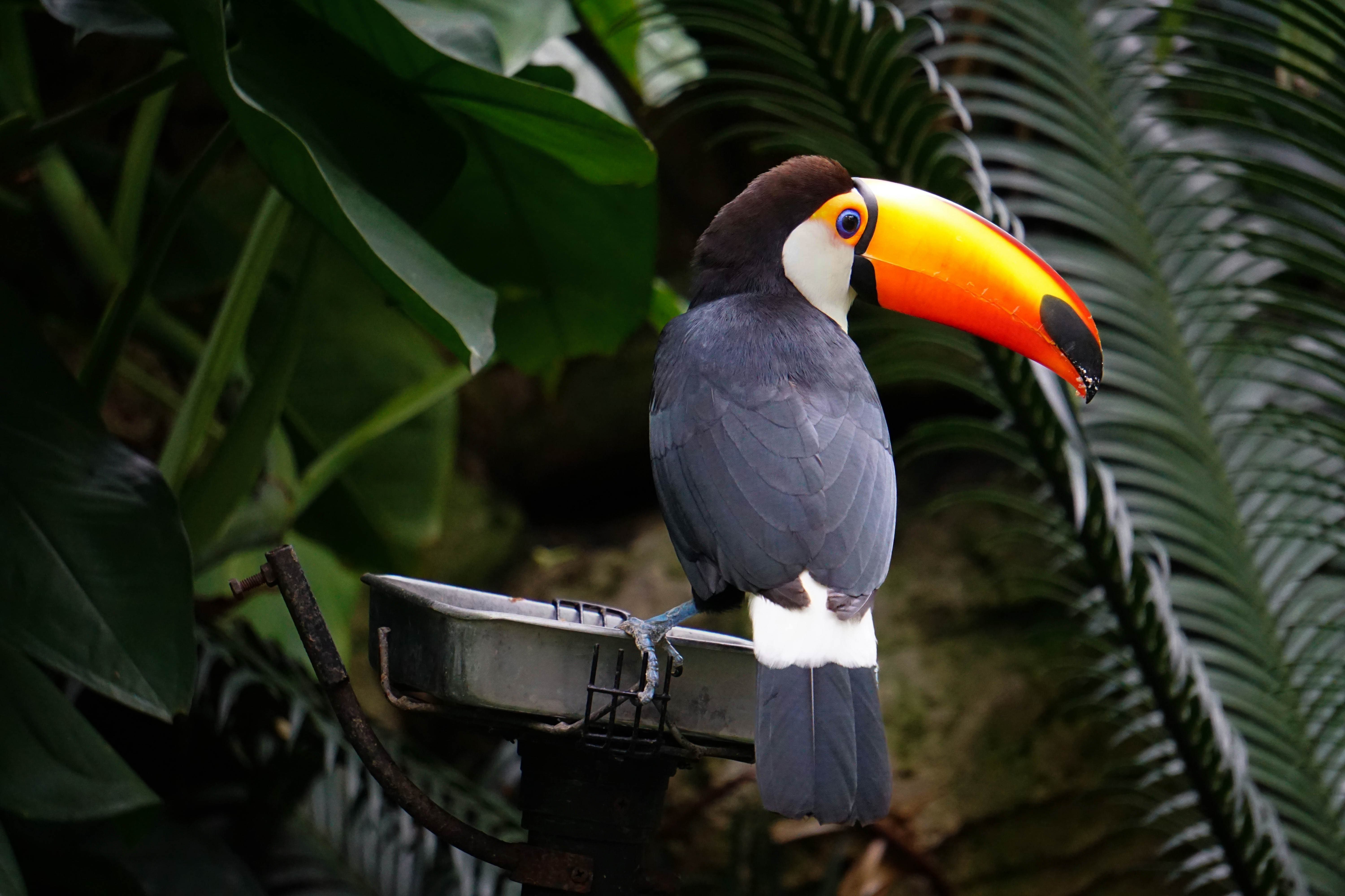 Viajes personalizados a Costa Rica