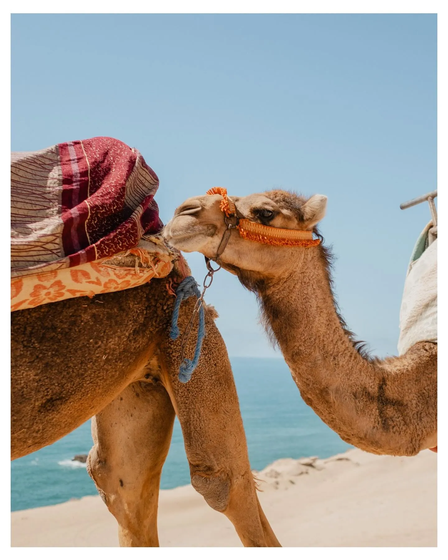 Morocco · Erg Chebbi