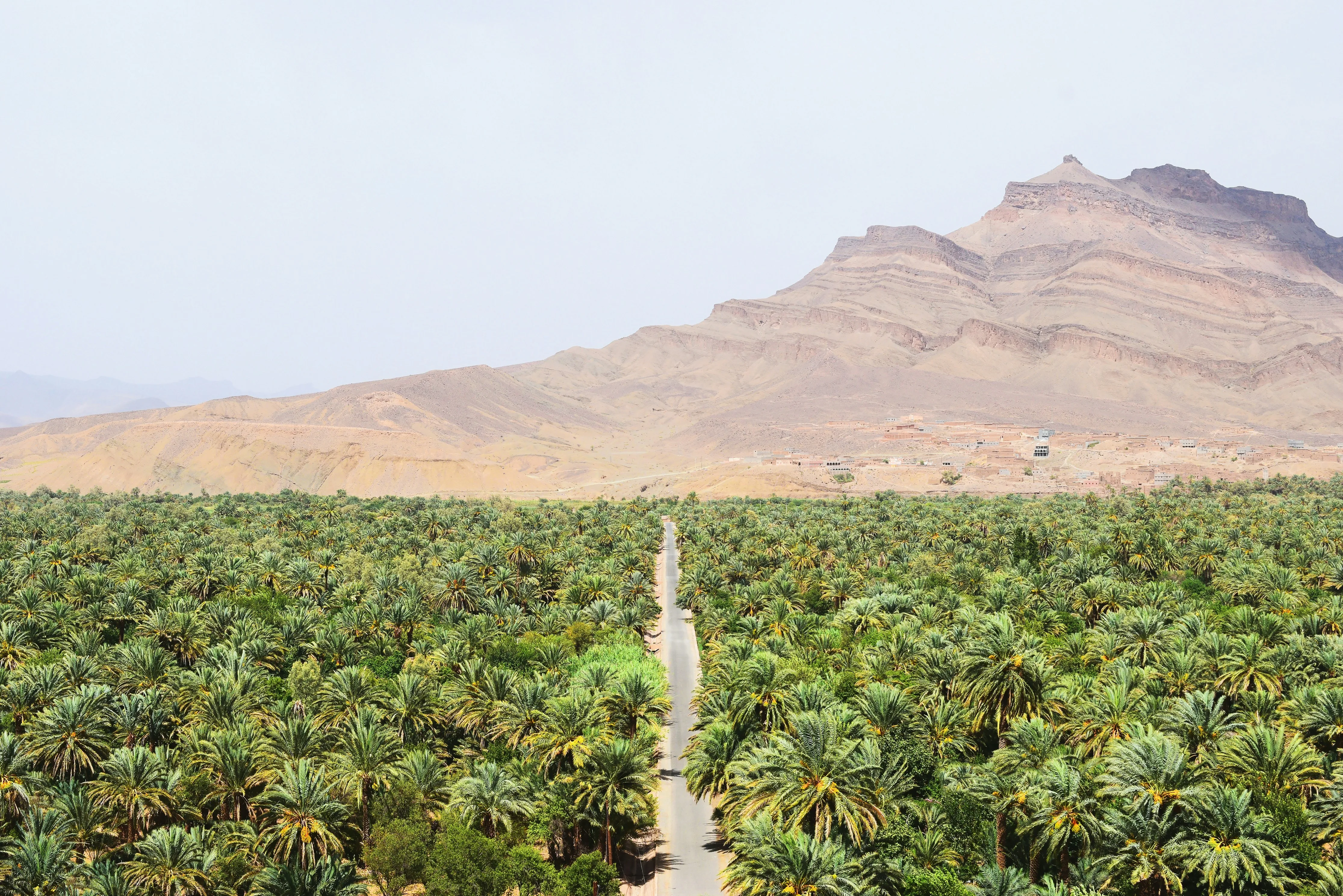 Draa Valley