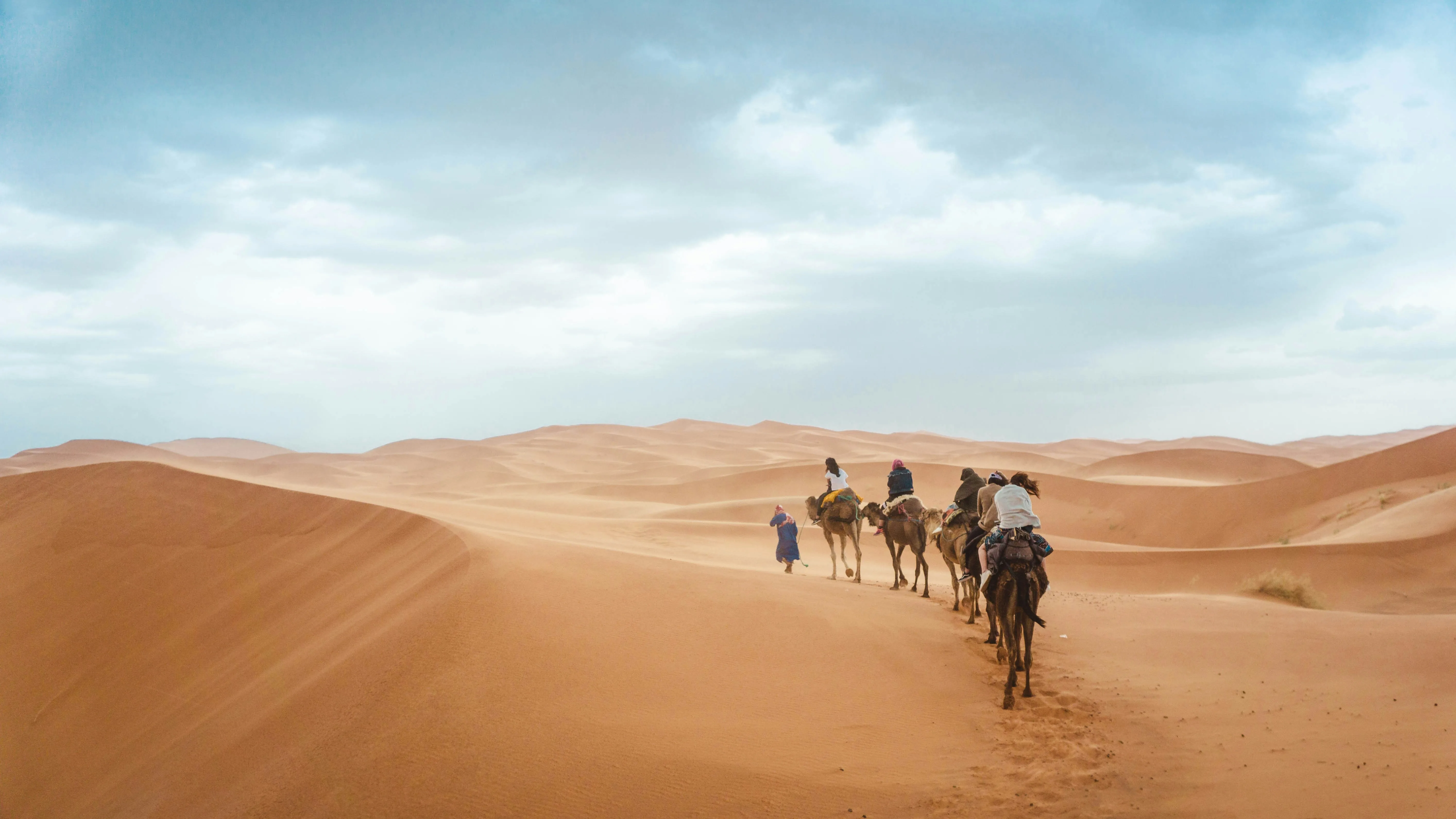 Tracks to the desert, Morocco