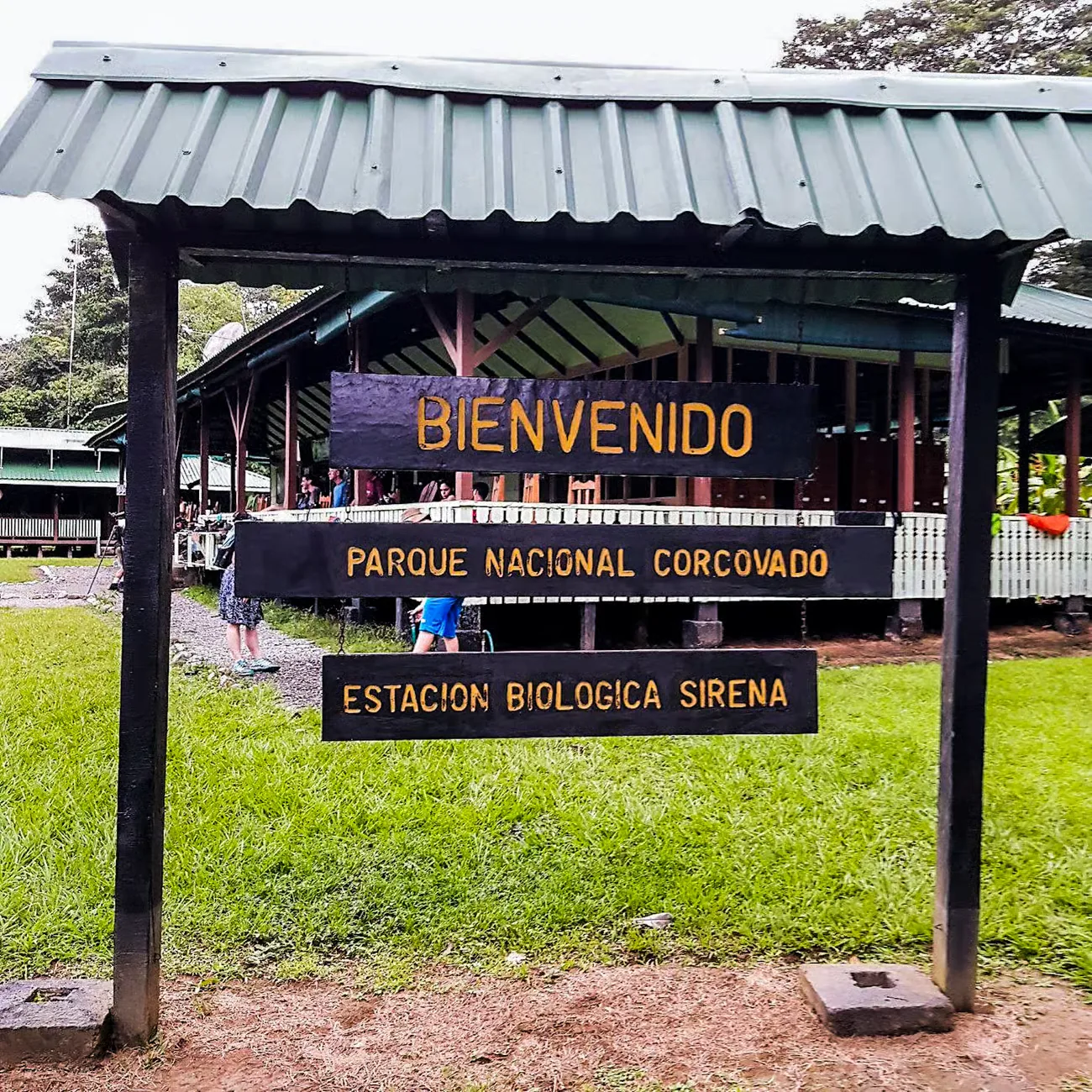 Just you in the rainforest, Corcovado · Costa Rica