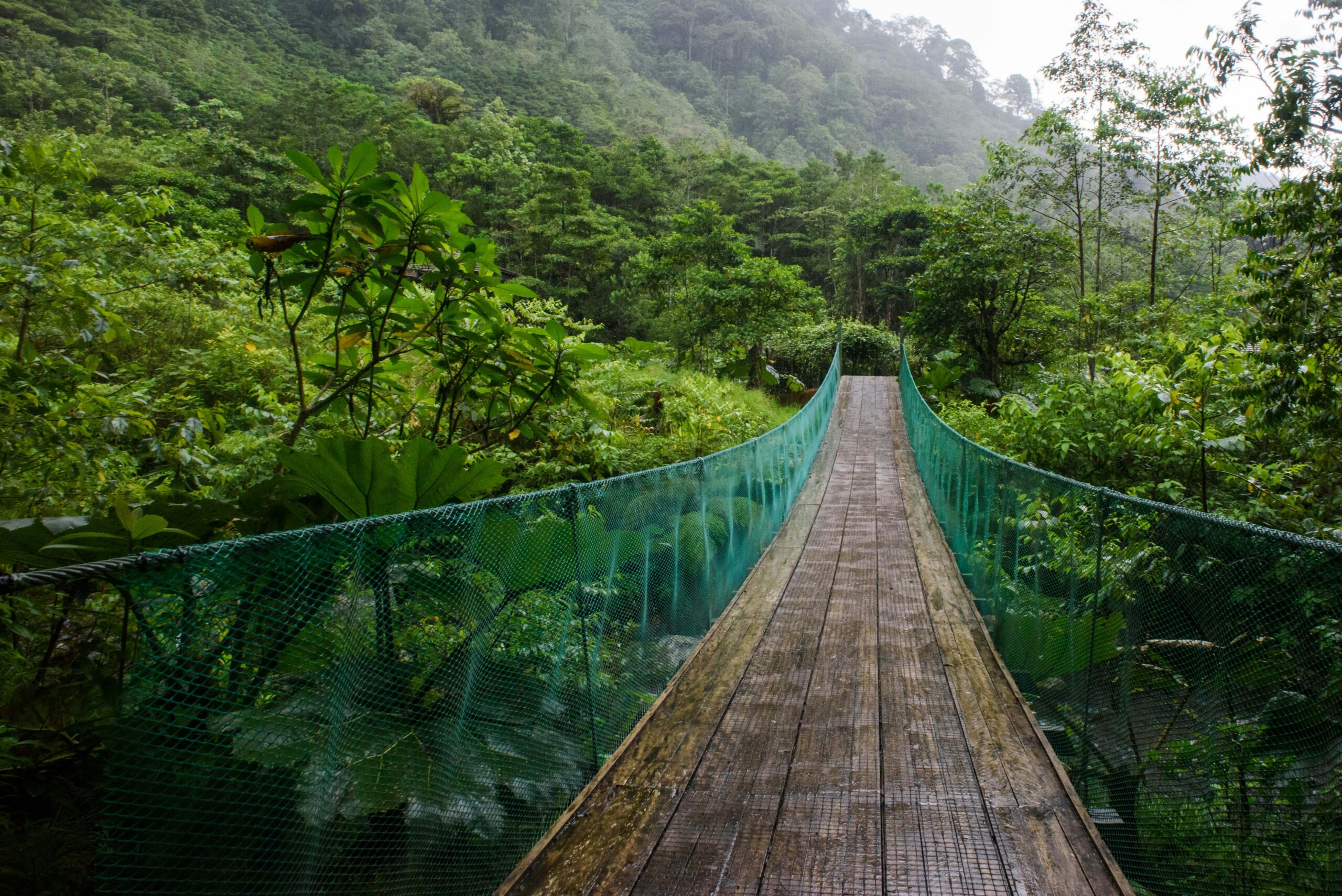Monteverde: mucho más que tirolinas