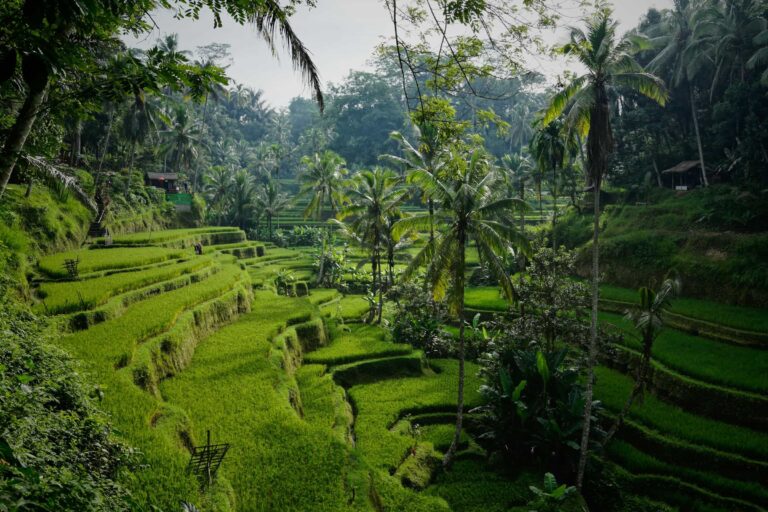 Tailor-made trip to Indonesia with Viajes Ukiyo