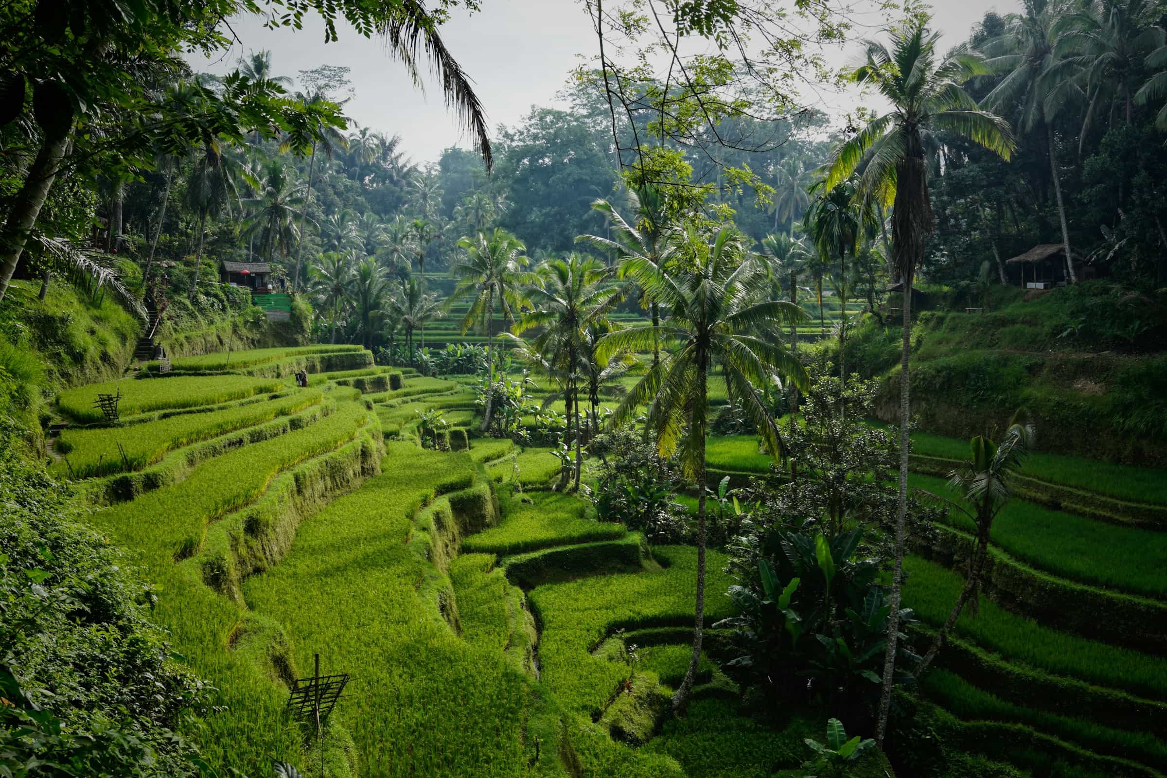¿Qué llevar en la mochila para un viaje a Indonesia?