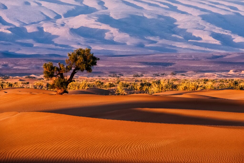 Marrakech y el desierto: del Atlas a las dunas de Erg Chebbi