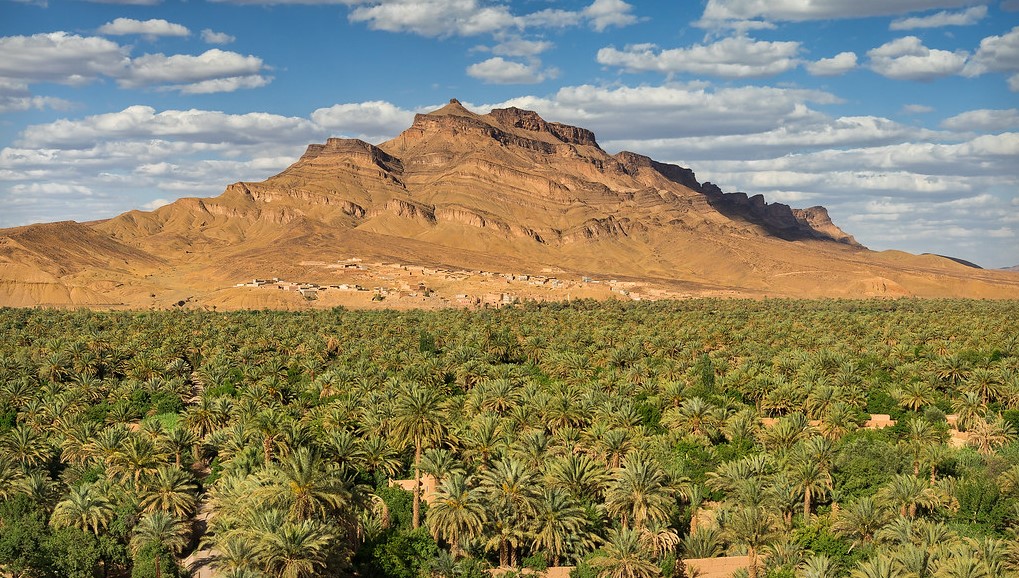 Valle del Draa · El gran corredor verde