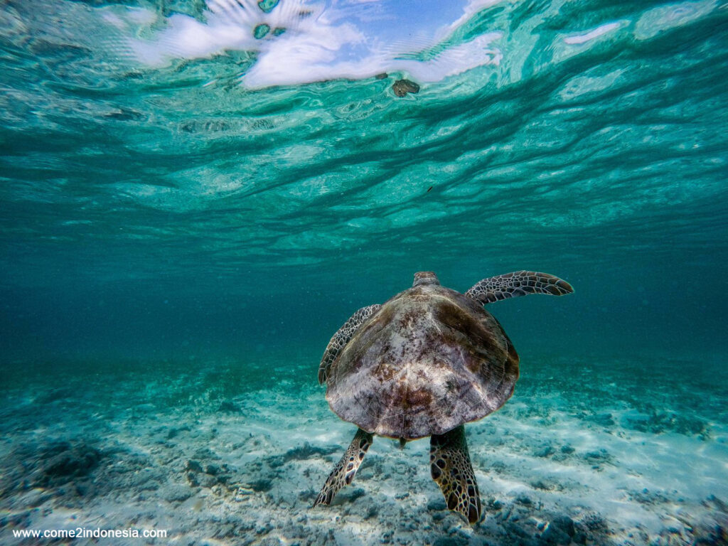 Mejor época para viajar a Indonesia: islas, clima y temporadas