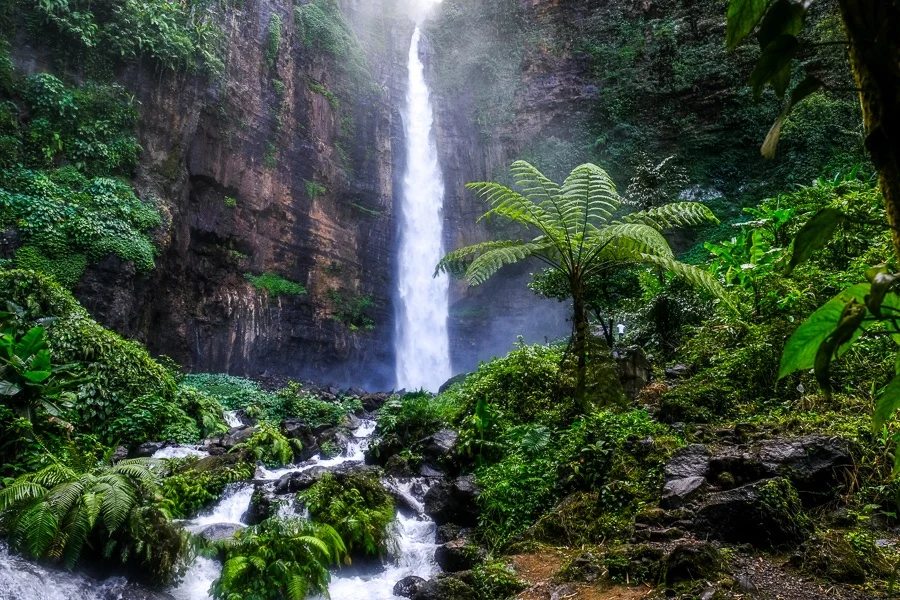Kapas Biru: naturaleza en estado puro