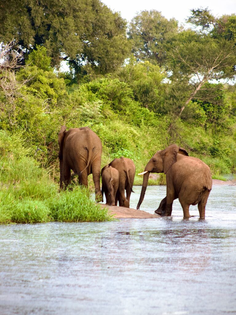 Viaje a Sudáfrica: Cape Town y Kruger en 13 días